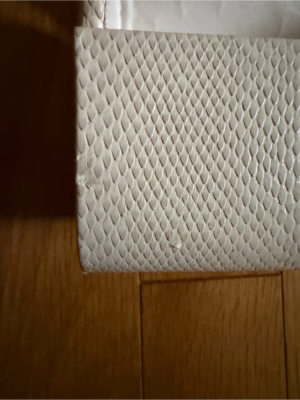 Jimmy Choo Cream Textured Snake-Embossed Glass Case with Silver Accent - Picture 7 of 10
